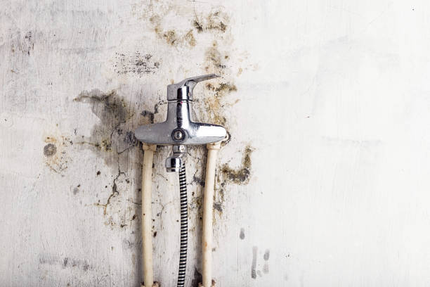 Water Damage Restoration in Sun Village, CA