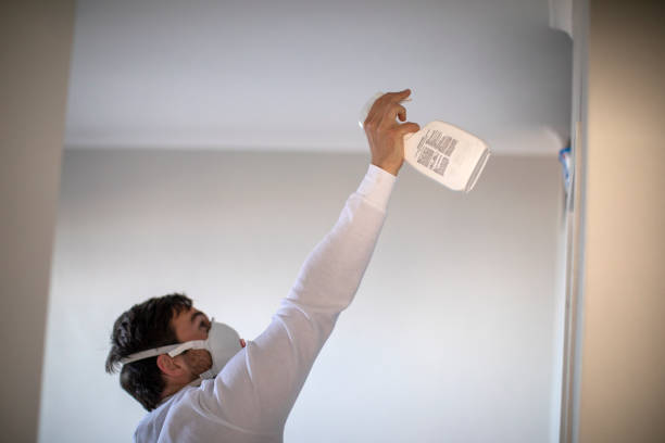 Best Attic Mold Removal  in Sun Village, CA