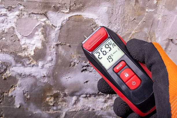 Best Residential Mold Removal  in Sun Village, CA