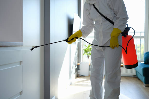 Best Mold Cleaning Services  in Sun Village, CA