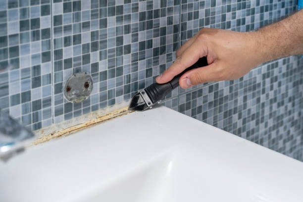 Best Toxic Mold Removal  in Sun Village, CA